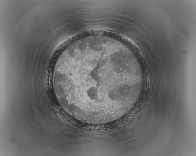 X0000112960775200909241159