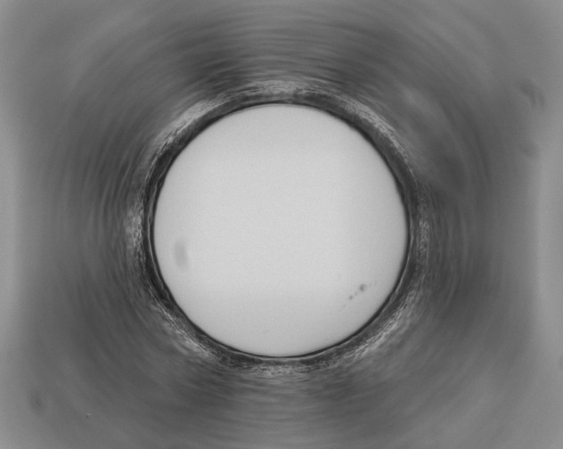 X0000112960778200909241159