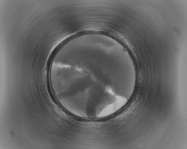 X0000112960779200909241159