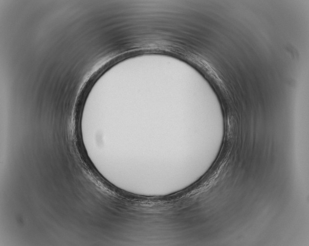 X0000112960780200909241159