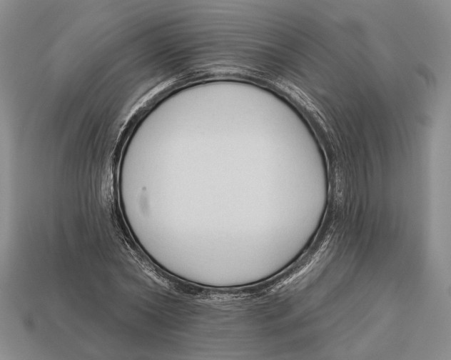 X0000112960782200909241159