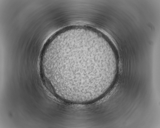 X0000112960783200909241159