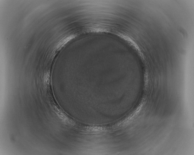 X0000112960785200909241159