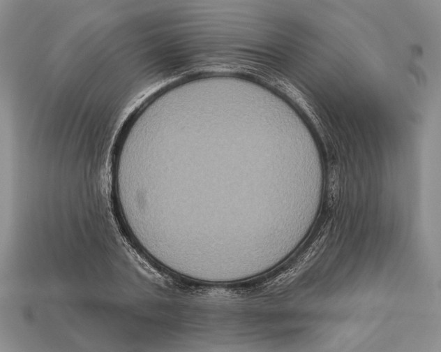 X0000112960787200909241159