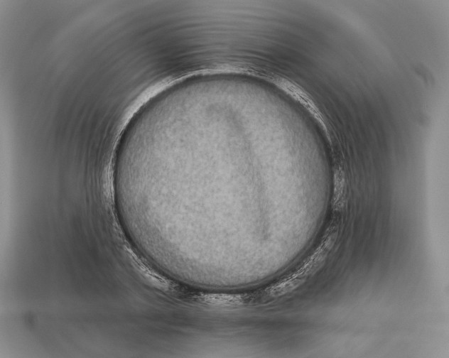 X0000112960789200909241159