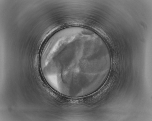 X0000112960790200909241159