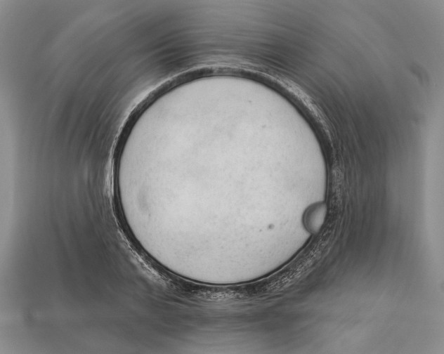 X0000112960791200909241159