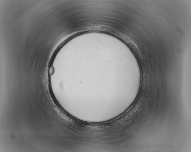 X0000112960792200909241159