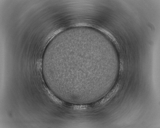 X0000112960793200909241159