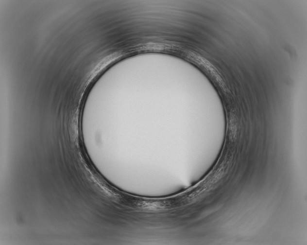 X0000112960794200909241159