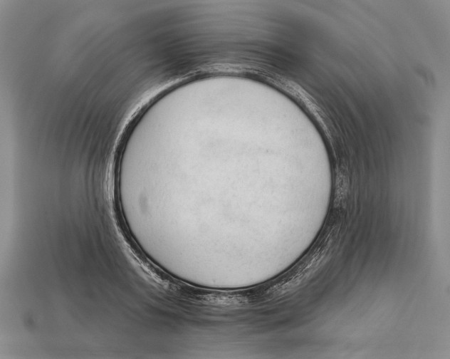 X0000112960795200909241158