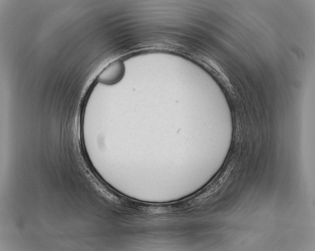 X0000112960796200909241158