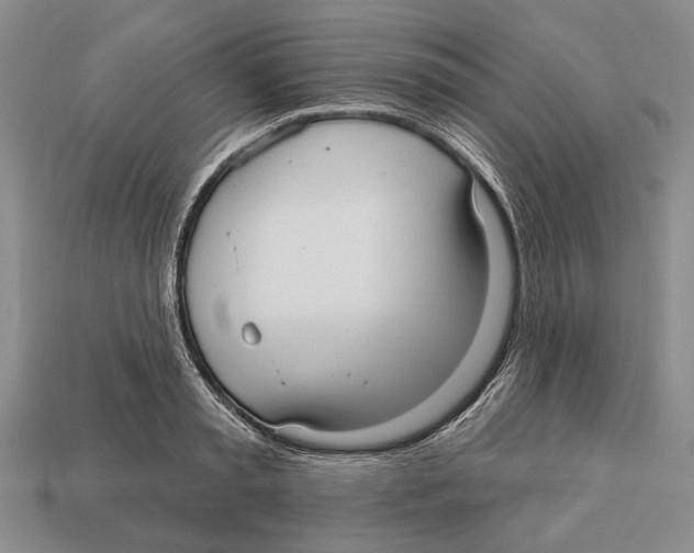 X0000112960797200909241158