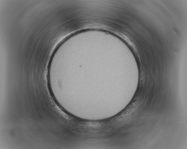 X0000112960799200909241158