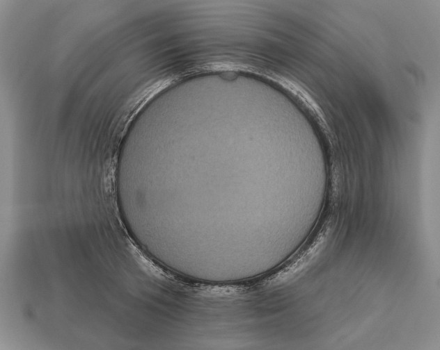 X0000112960801200909241158