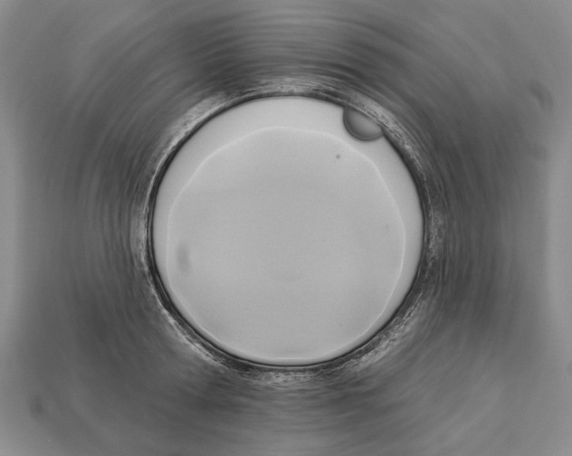 X0000112960802200909241158