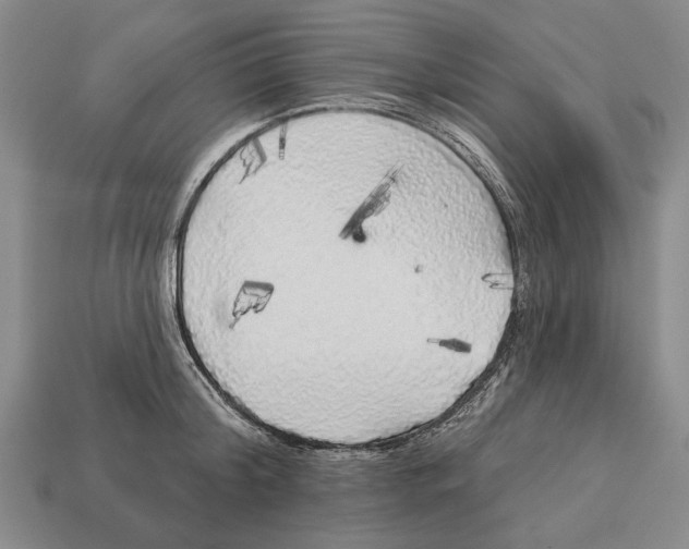 X0000112960804200909241158