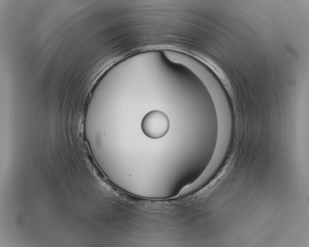 X0000112960809200909241158