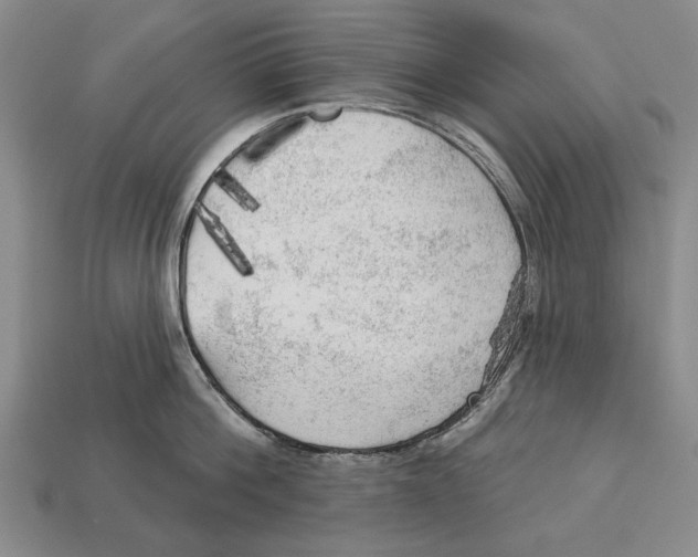 X0000112960812200909241158