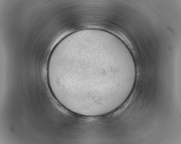 X0000112960814200909241158