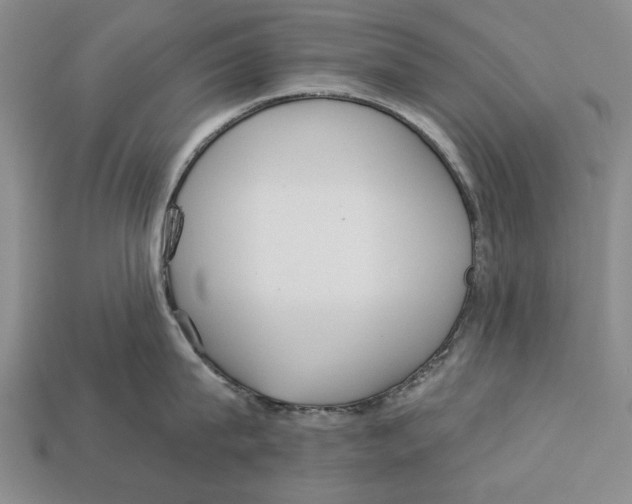 X0000112960815200909241158