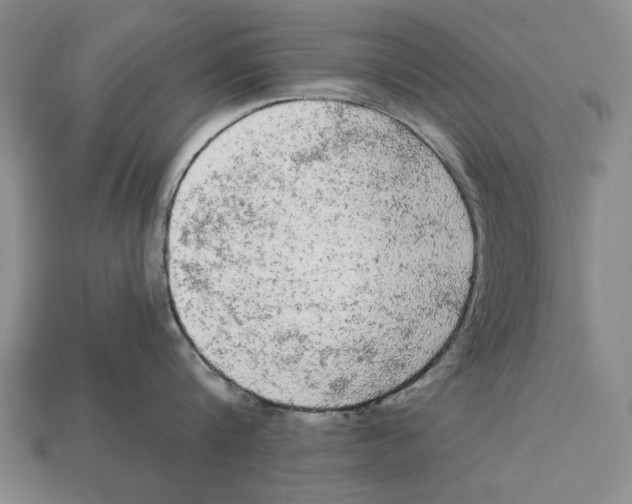 X0000112960816200909241158