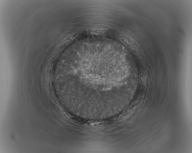 X0000112960817200909241158