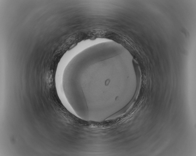 X0000112960818200909241158