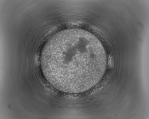 X0000112960819200909241158