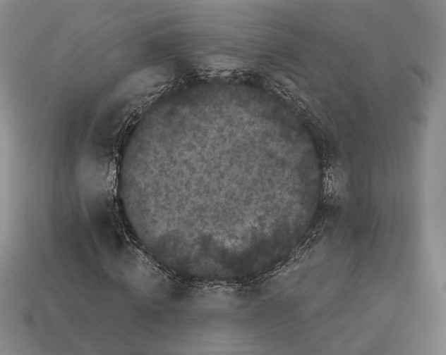 X0000112960820200909241158