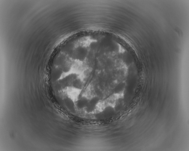 X0000112960823200909241158