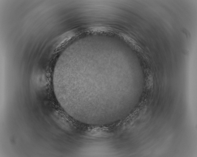 X0000112960824200909241158