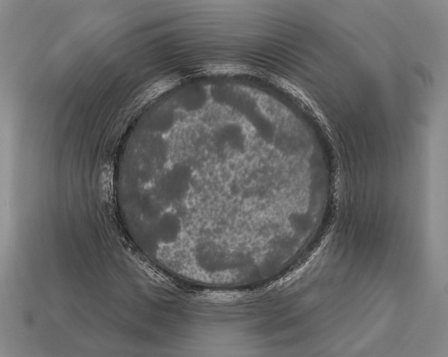 X0000112960825200909241158