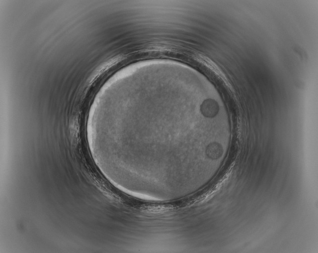 X0000112960826200909241158