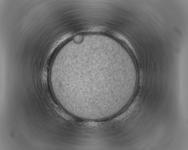 X0000112960827200909241158