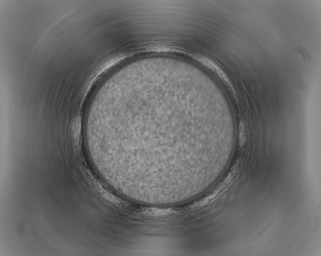 X0000112960831200909241158