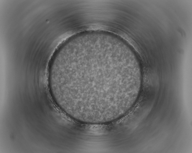 X0000112960832200909241158