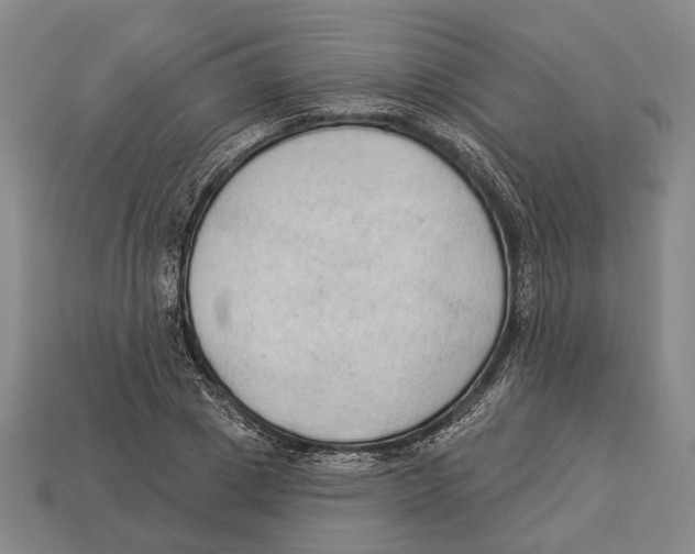 X0000112960833200909241158