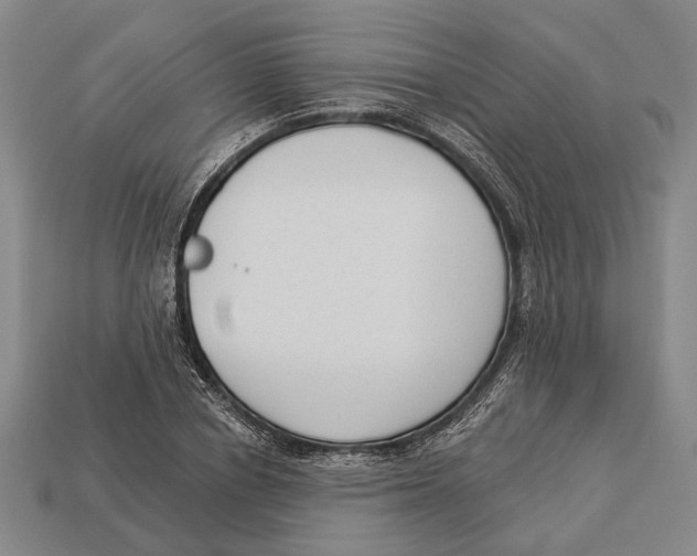 X0000112960834200909241158