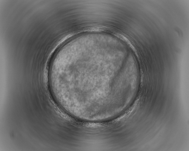 X0000112960835200909241158