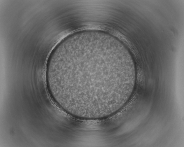 X0000112960836200909241158