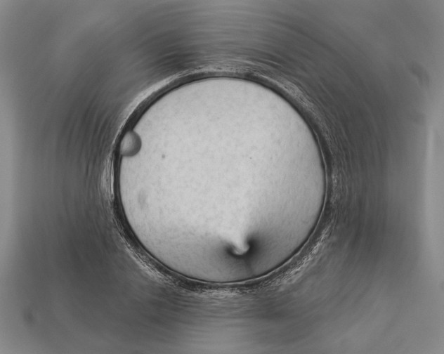 X0000112960838200909241158