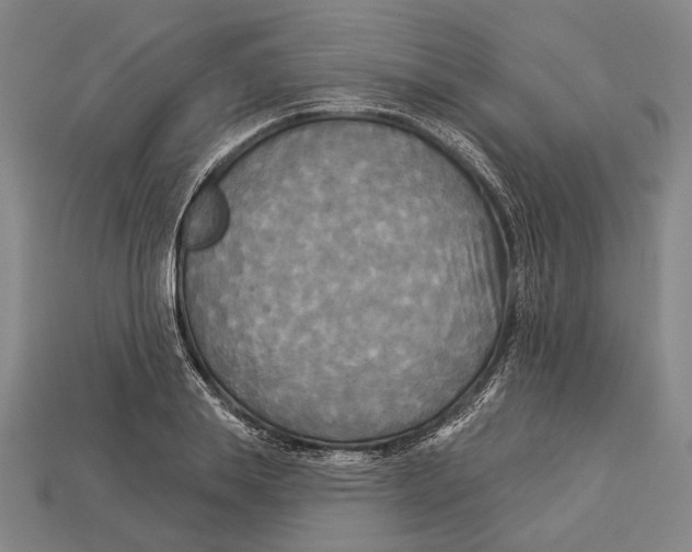 X0000112960839200909241158