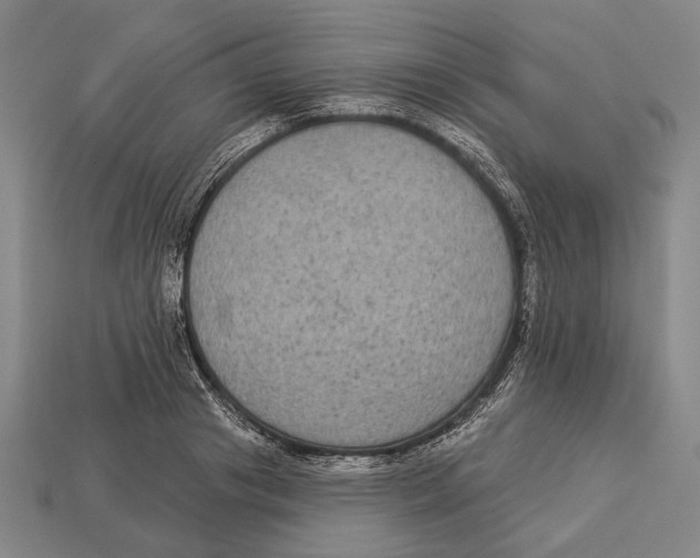 X0000112960841200909241158