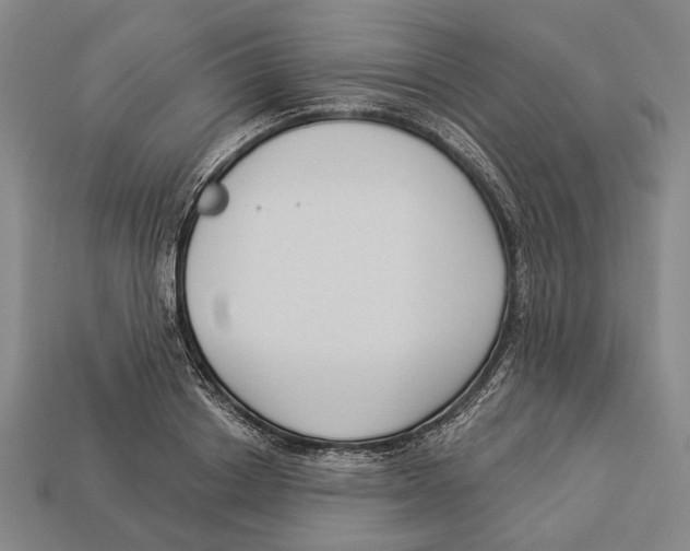 X0000112960842200909241158