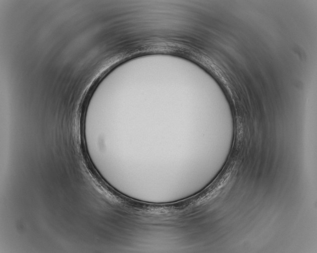 X0000112960843200909241158