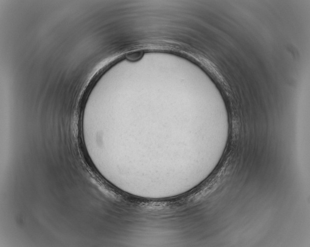 X0000112960846200909241158