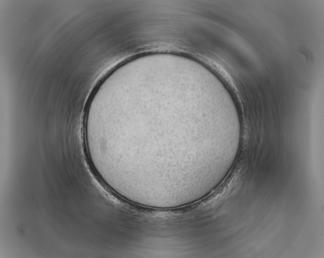 X0000112960847200909241158