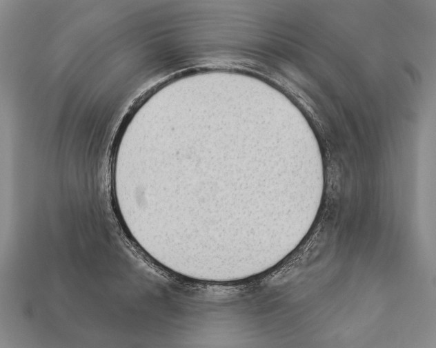 X0000112960848200909241158