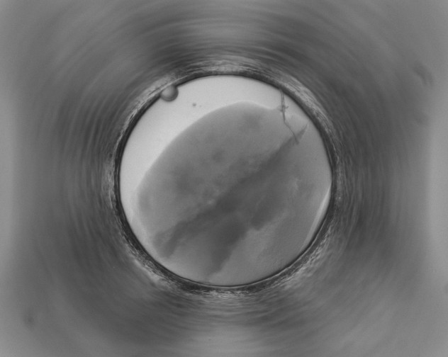 X0000112960850200909241158